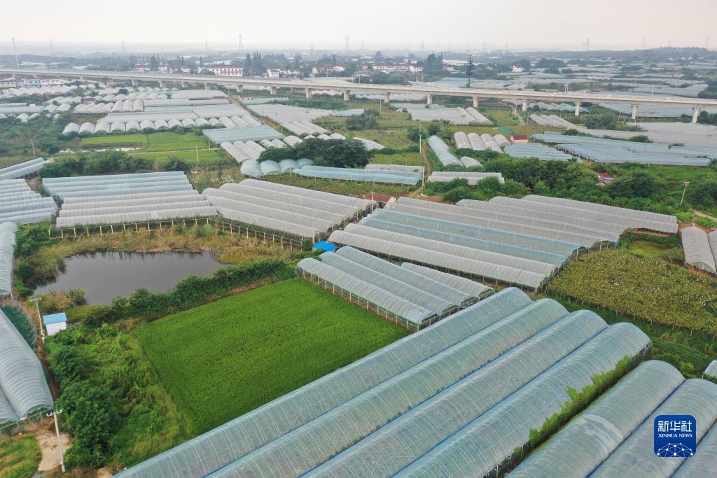 美罗会员登录网址